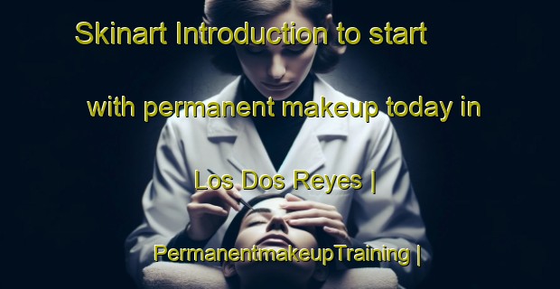 Skinart Introduction to start with permanent makeup today in Los Dos Reyes | PermanentmakeupTraining | PermanentmakeupClasses | SkinartTraining-Mexico
